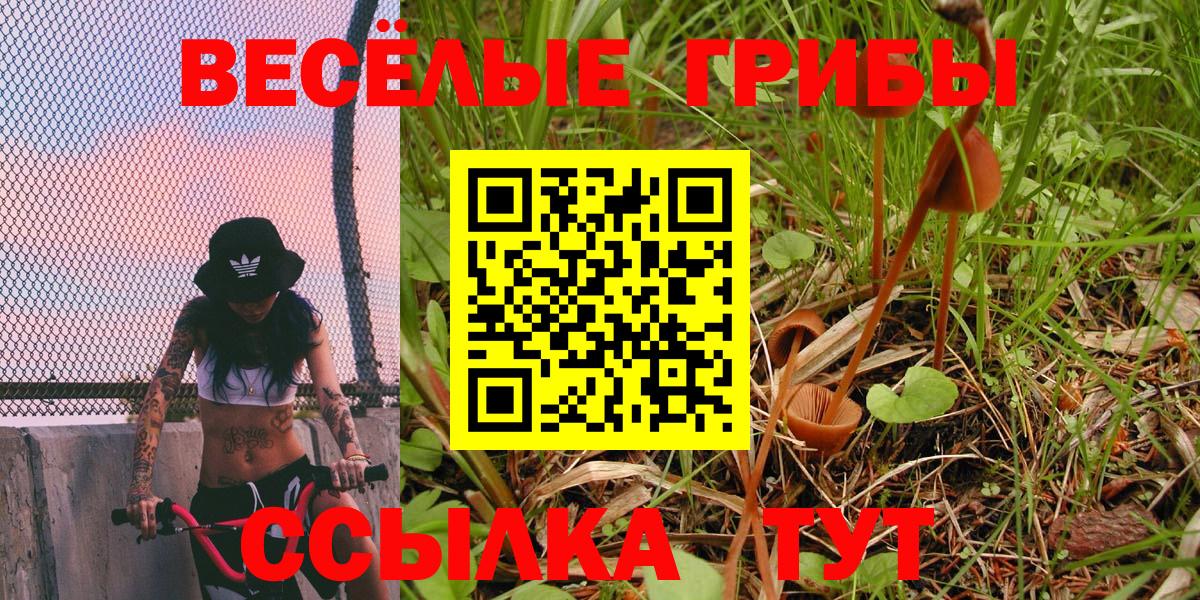 где можно купить наркотик  Вход с VPN  Галлюциногенные грибы Magic Shrooms  Янаул  Псилоцибиновые грибы Psilocybine cubensis 